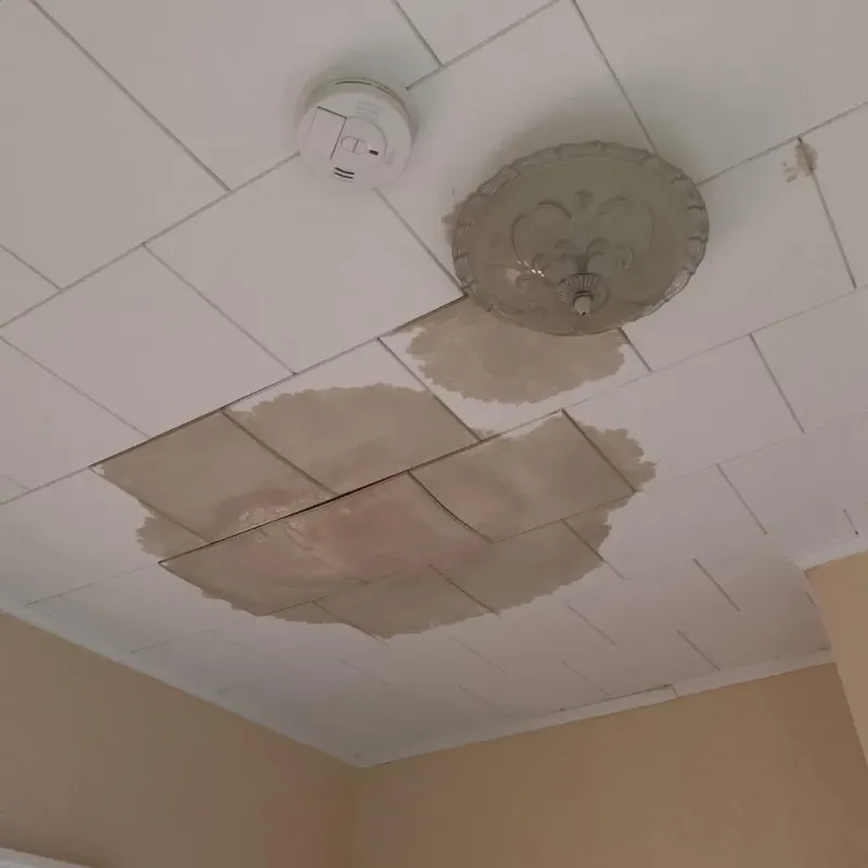 Ceiling Water Damage Repair in Saratoga, WY