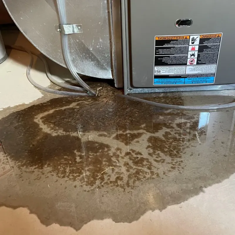 Pipe Burst and Leak Restoration in Saratoga, WY